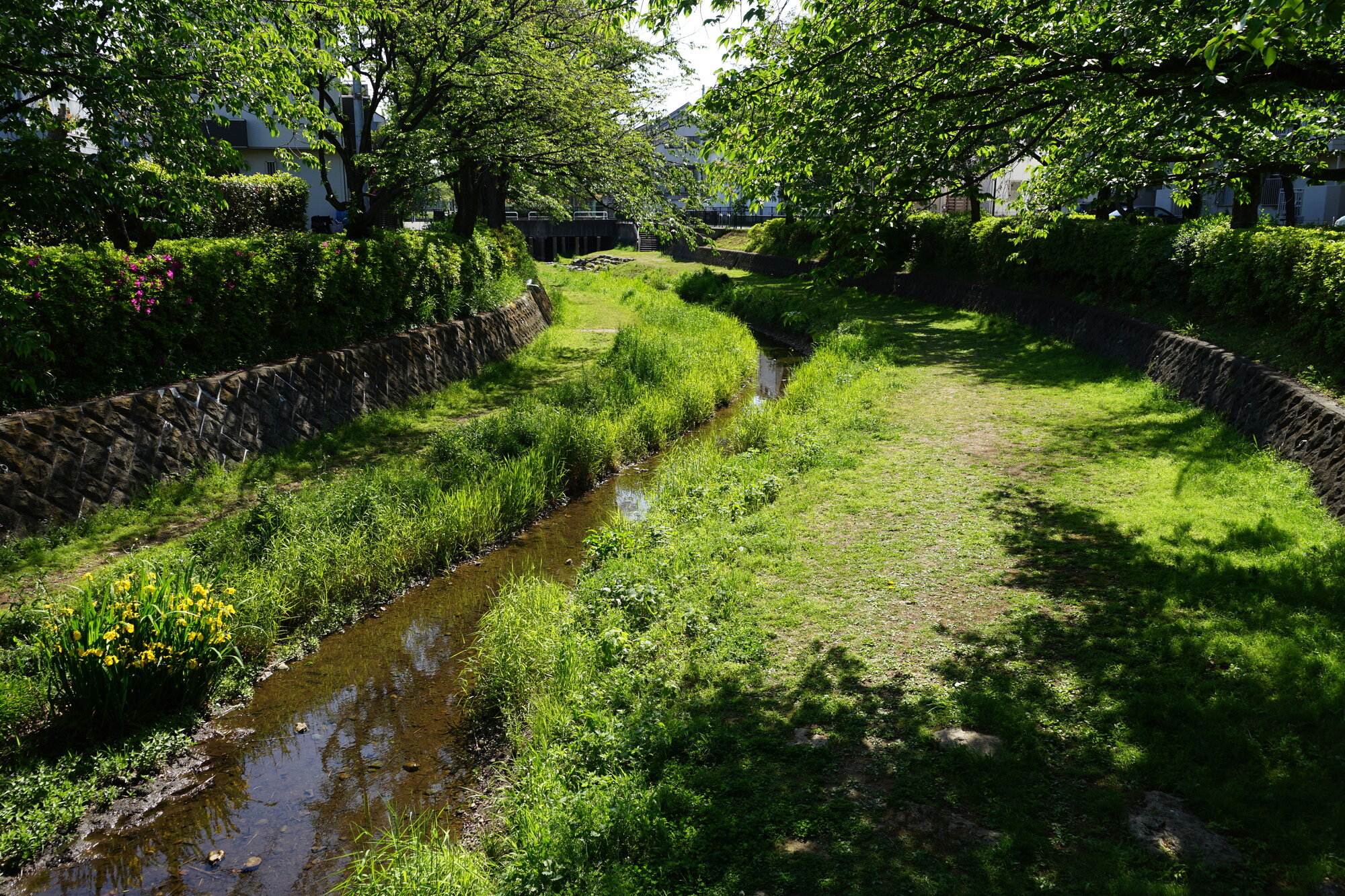 tama-nogawa-01.jpg