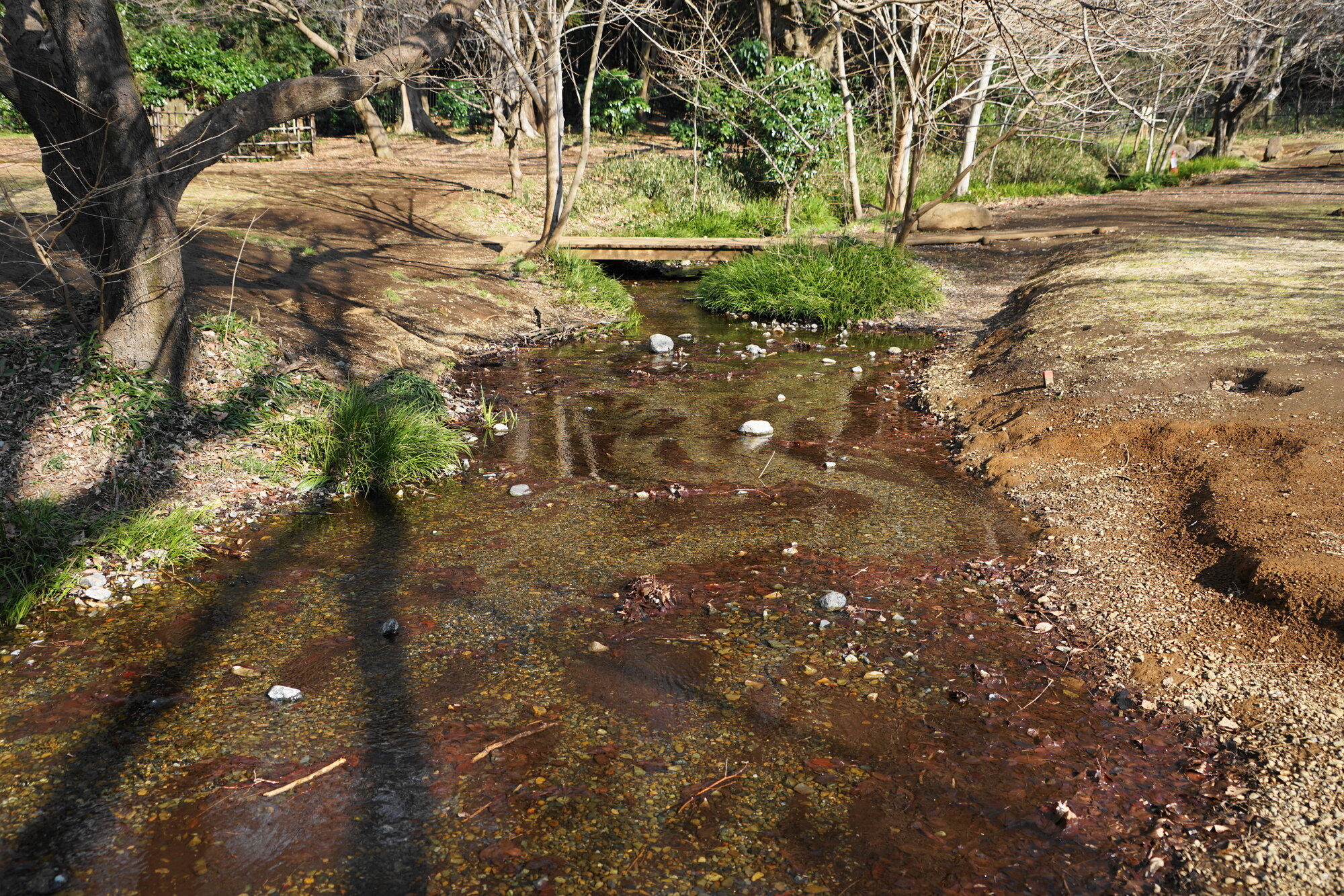 tama-nogawa-02.jpg