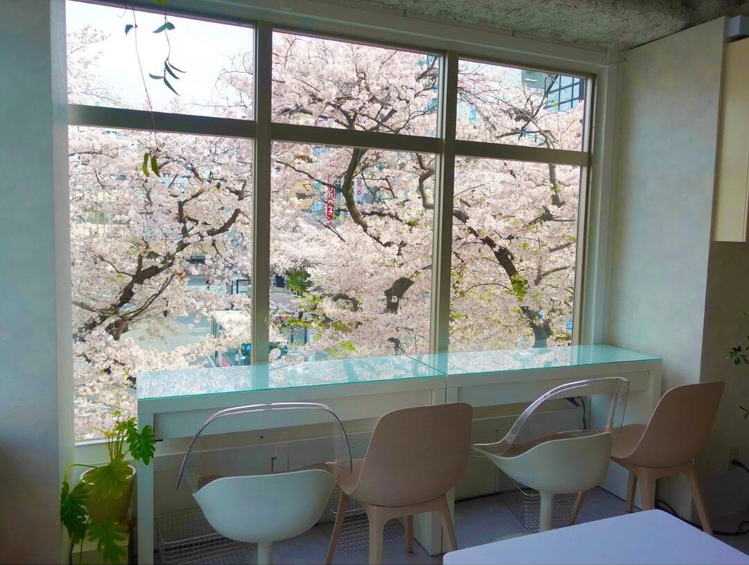 tama-ohanami-4+.jpg