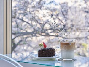 かぞくをはぐくむヒントがつまったパパママ・マガジン たまちっぷす | 【たまみっけ】国立×お花見スポット近くのカフェ４選
