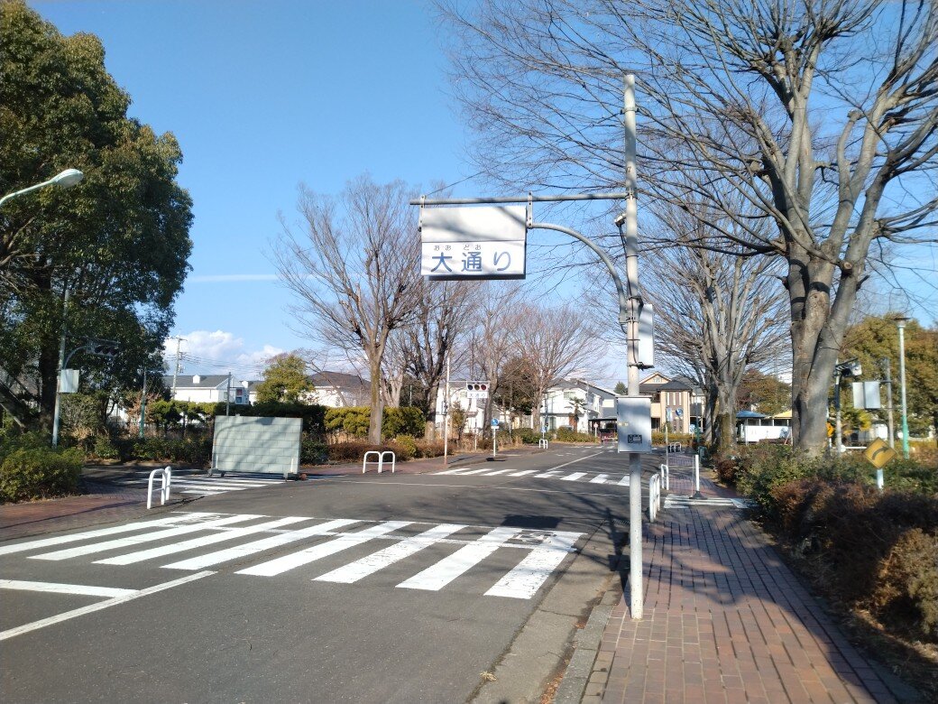 tama-ome-kotsupark-1.jpg