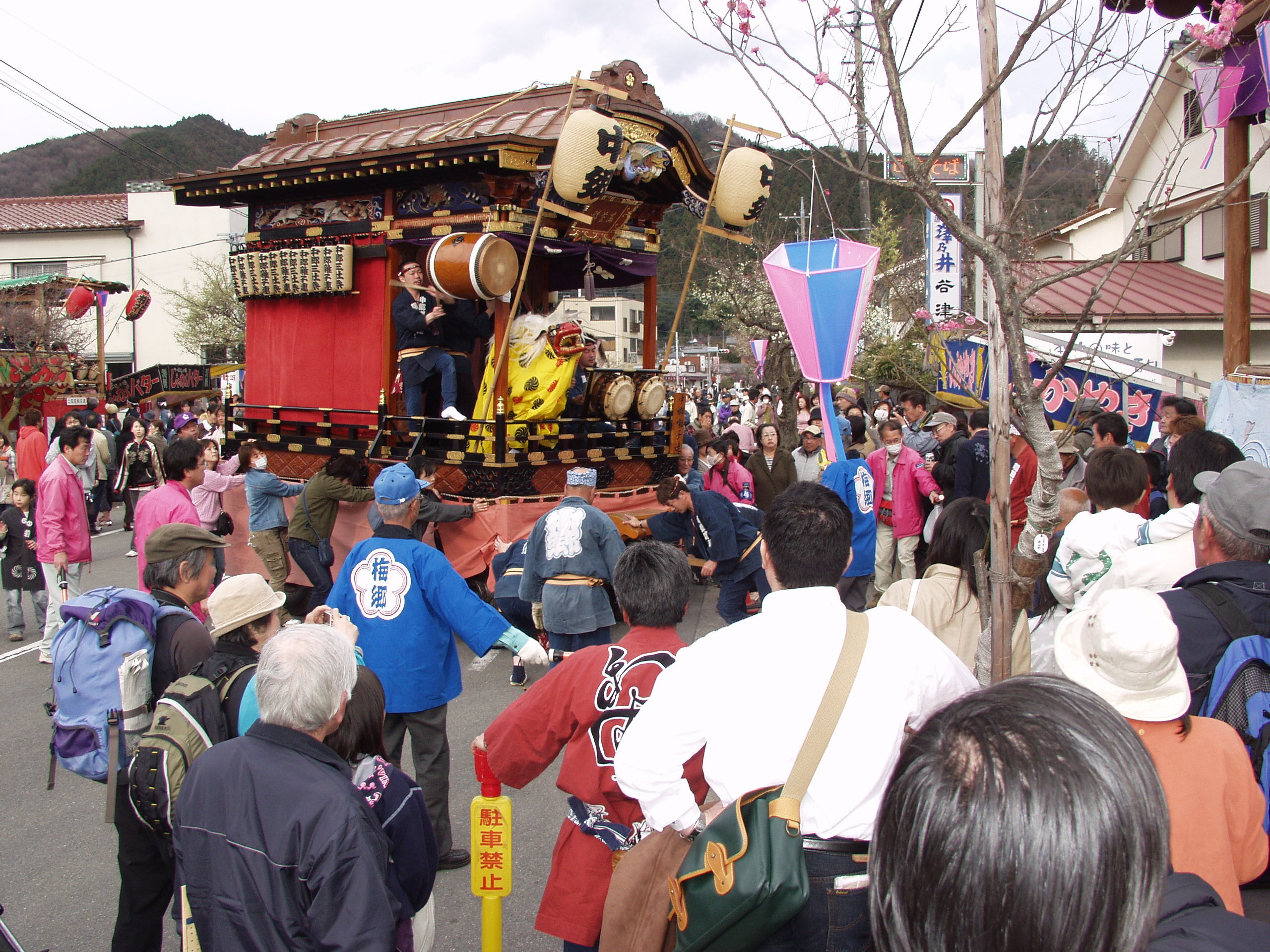 tama-ome-umepark-2.jpg