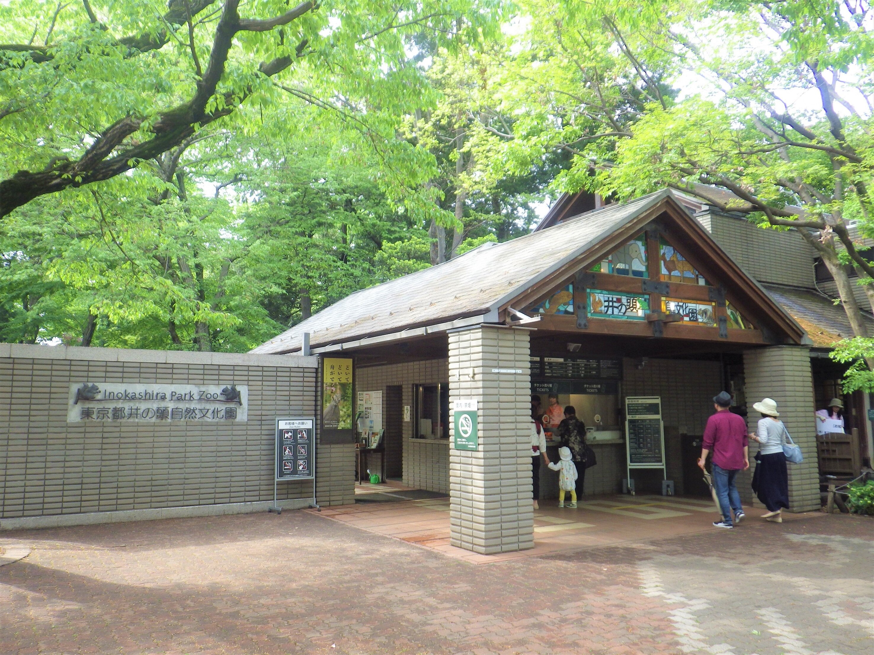 tama-pass18.JPG
