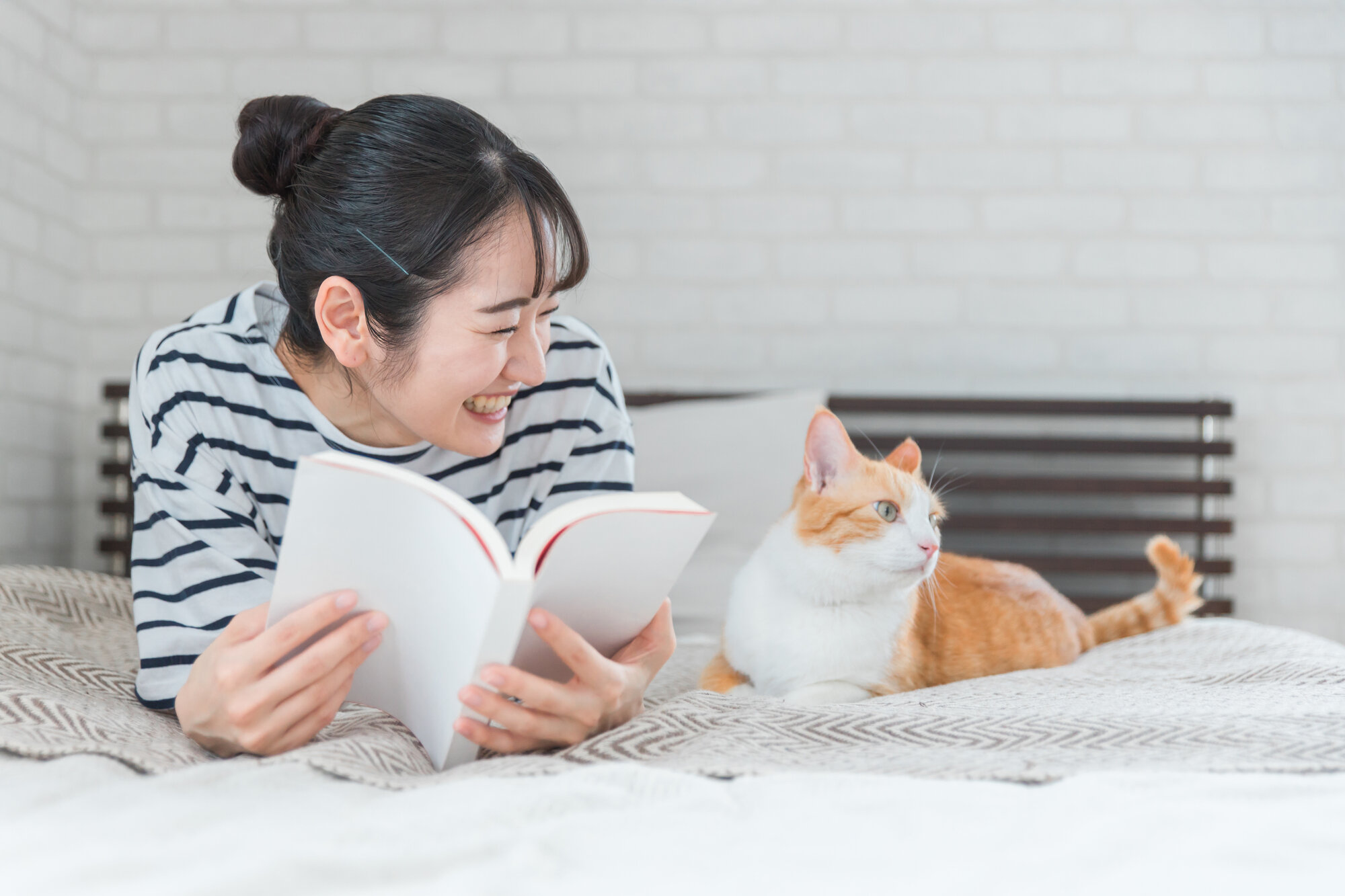 tama-pet-hoken-02.jpg