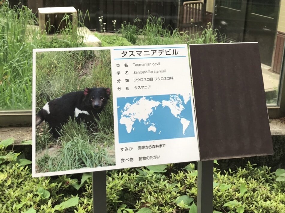 tama-risuru_calender_1_22.jpg