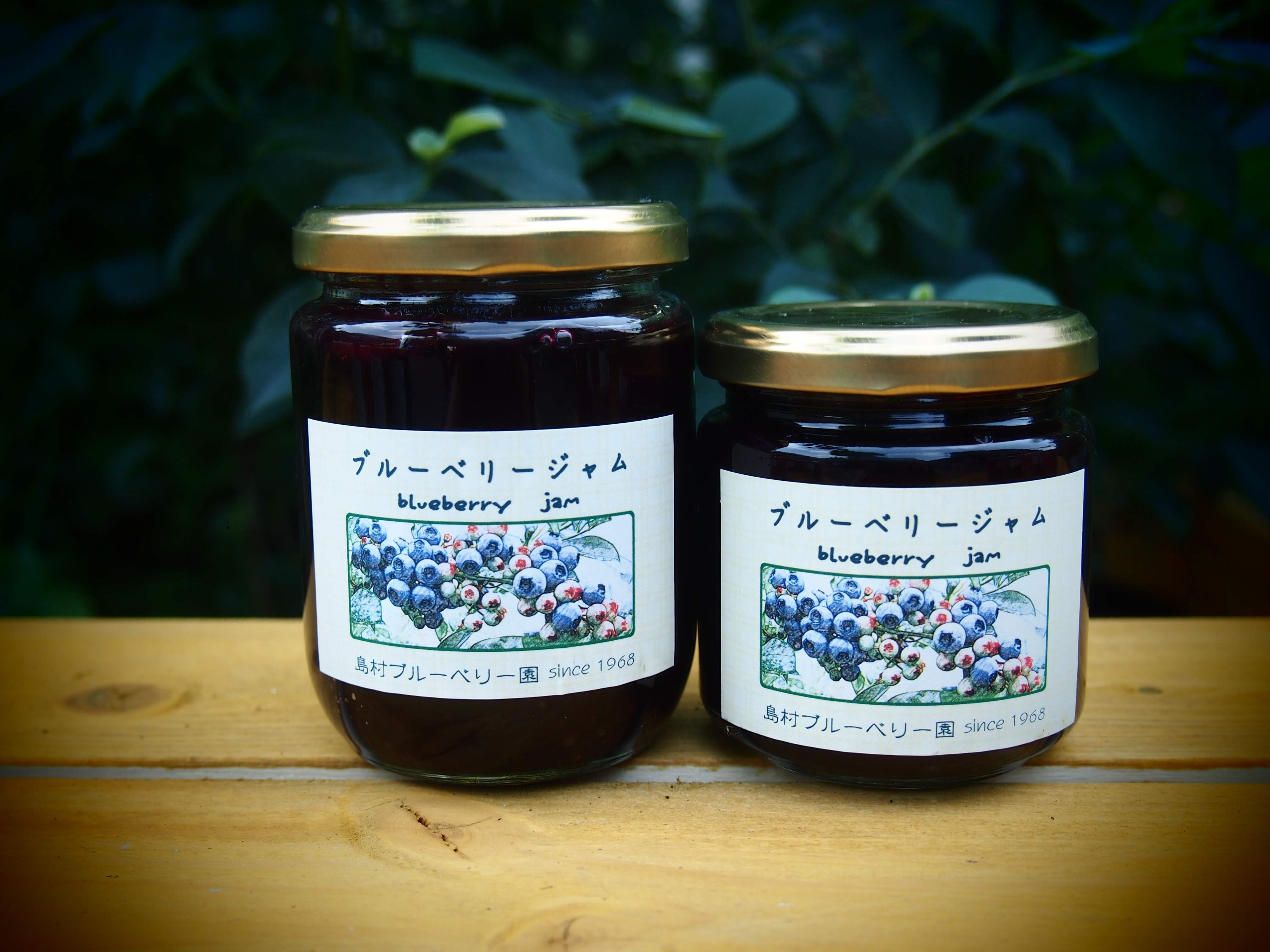 tama-shimamurablueberry-02.JPG
