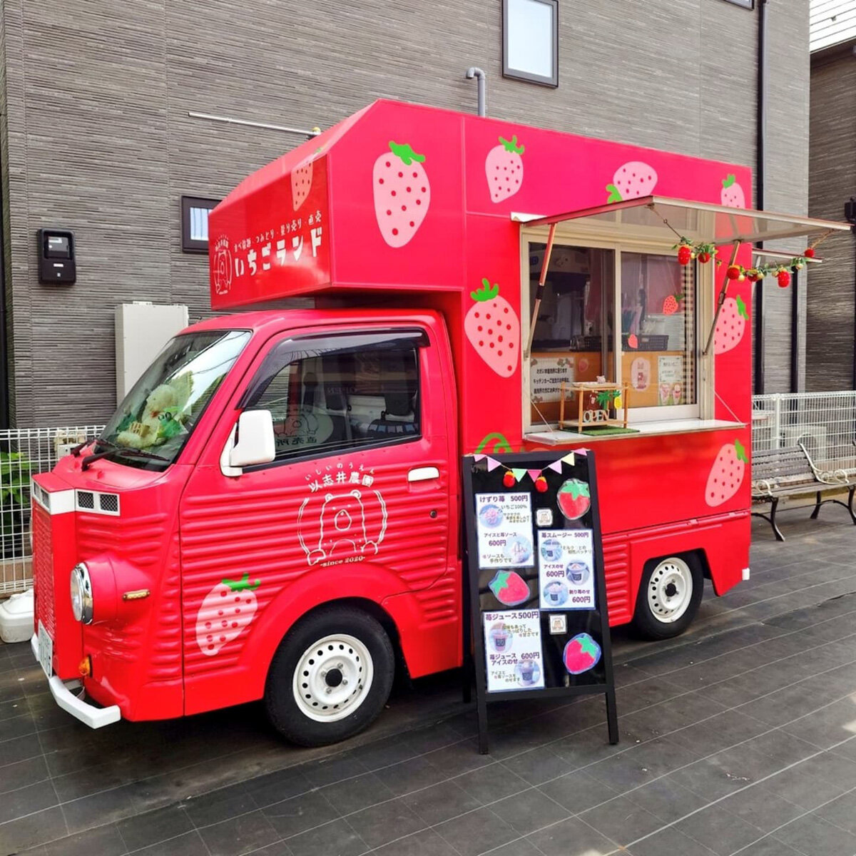 tama-strawberry-2.jpg