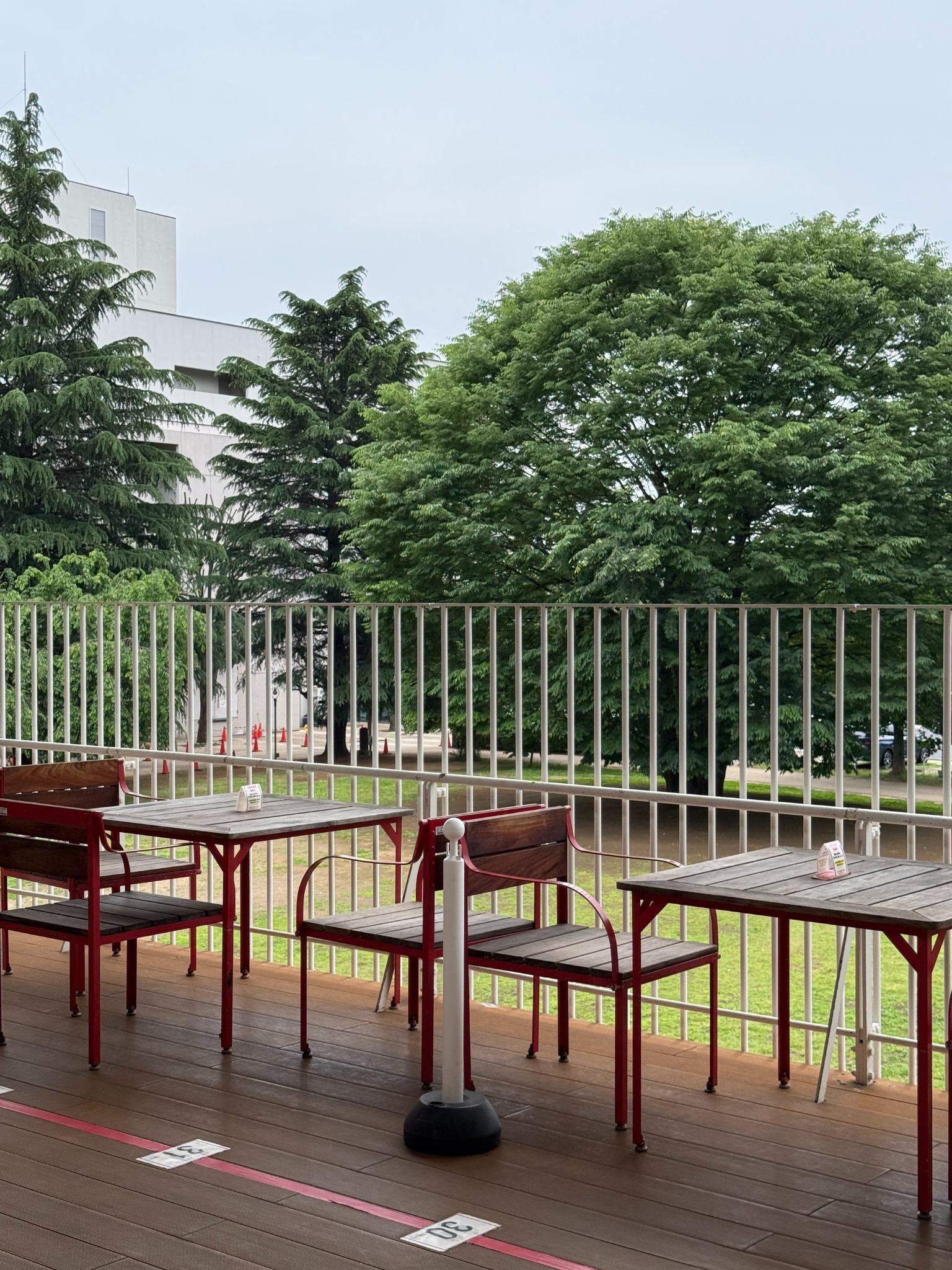 tama-summer-library-11.png