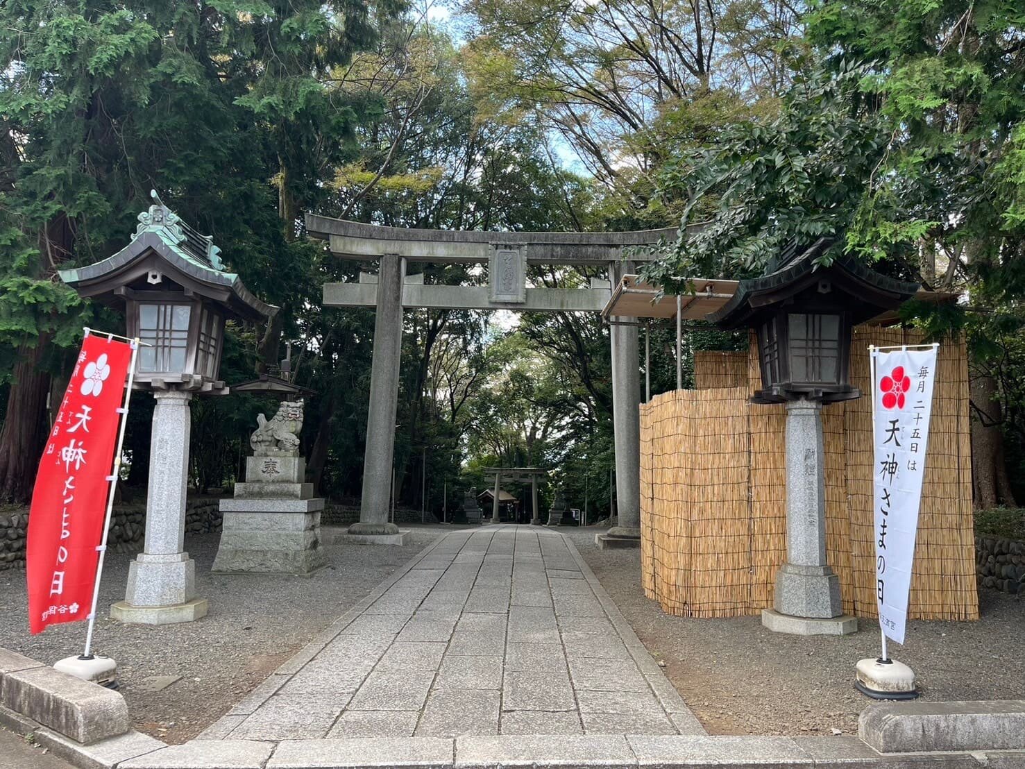 tama-walking-27.jpeg