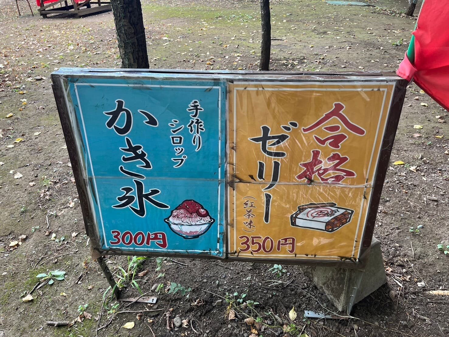 tama-walking-30.jpeg