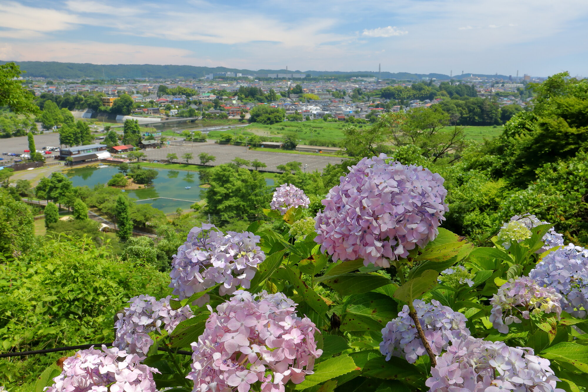 tama-wonderful-nature-village-02+.jpg